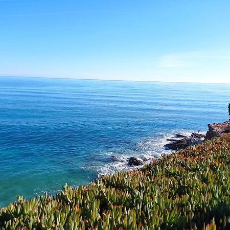 Apartamento junto al mar Les Cases d'Alcanar Esterno foto